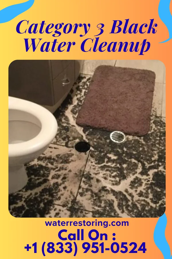Category 3 Black Water Cleanup in Brunswick, NC
