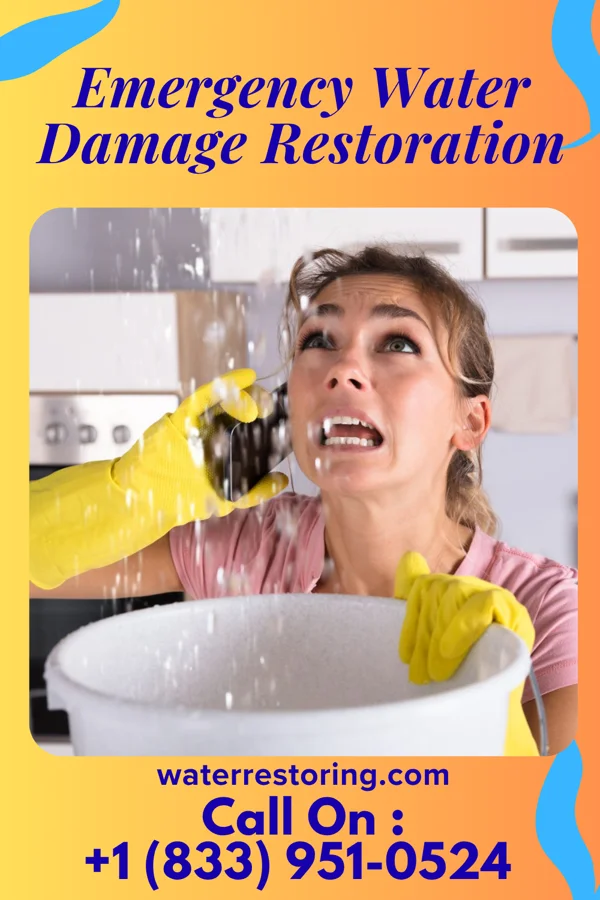 Emergency Water Damage Restoration in Brunswick, NC