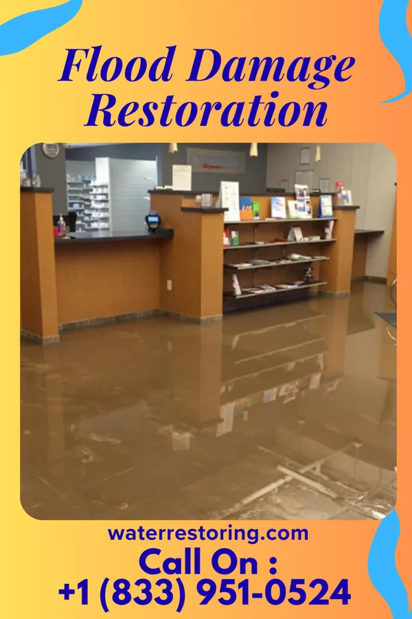 Flood Damage Restoration in Brunswick, NC