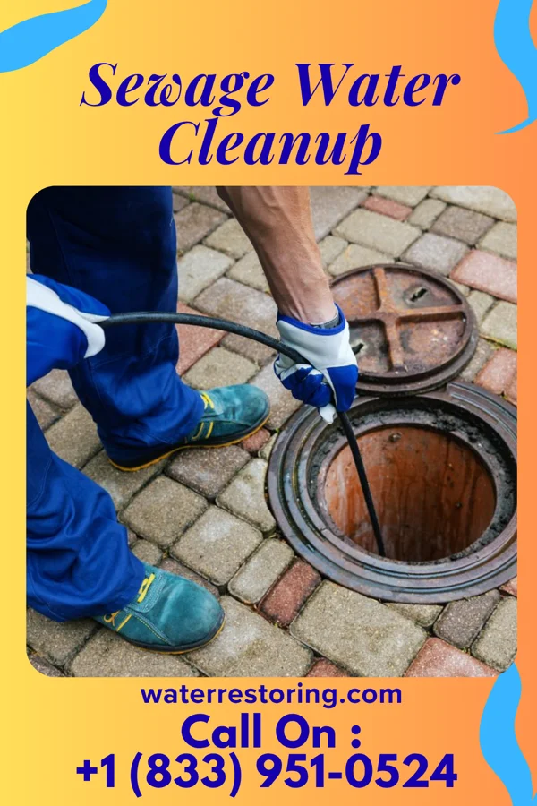 Sewage Water Cleanup in Brunswick, NC