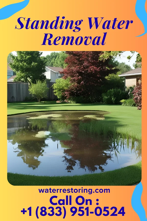 Standing Water Removal in Brunswick, NC